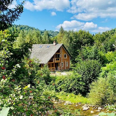 MySynevyr - будинок у серці Карпат Екстер'єр фото