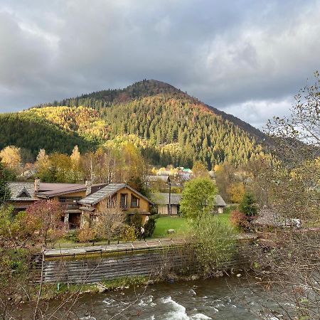 MySynevyr - будинок у серці Карпат Екстер'єр фото