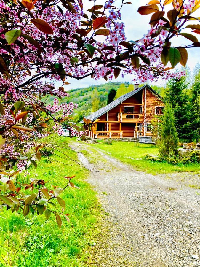 MySynevyr - будинок у серці Карпат Екстер'єр фото