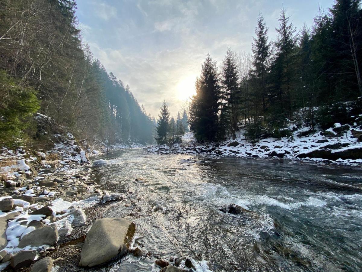 MySynevyr - будинок у серці Карпат Екстер'єр фото
