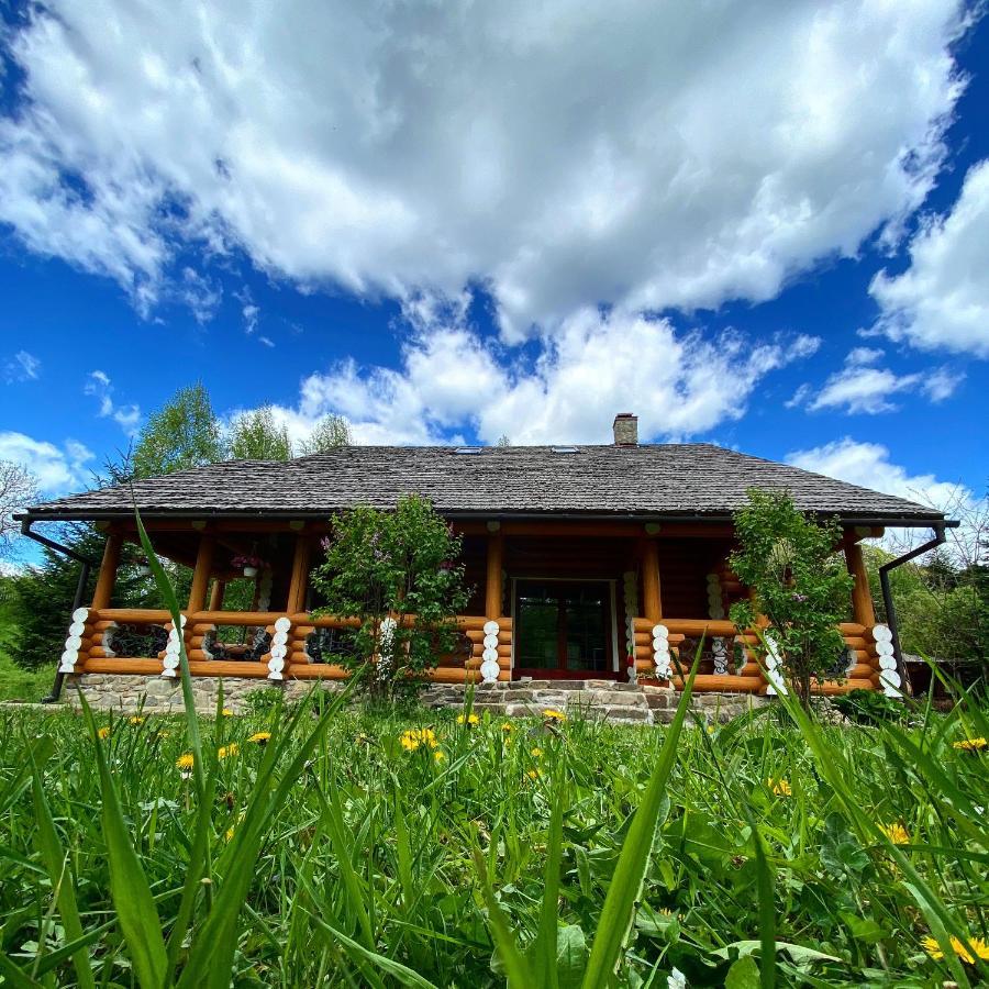 MySynevyr - будинок у серці Карпат Екстер'єр фото