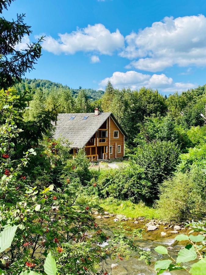 MySynevyr - будинок у серці Карпат Екстер'єр фото